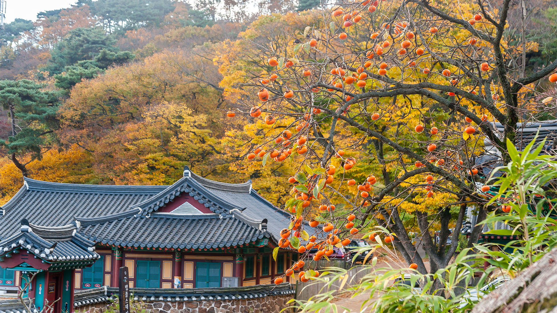 슬라이드 이미지1